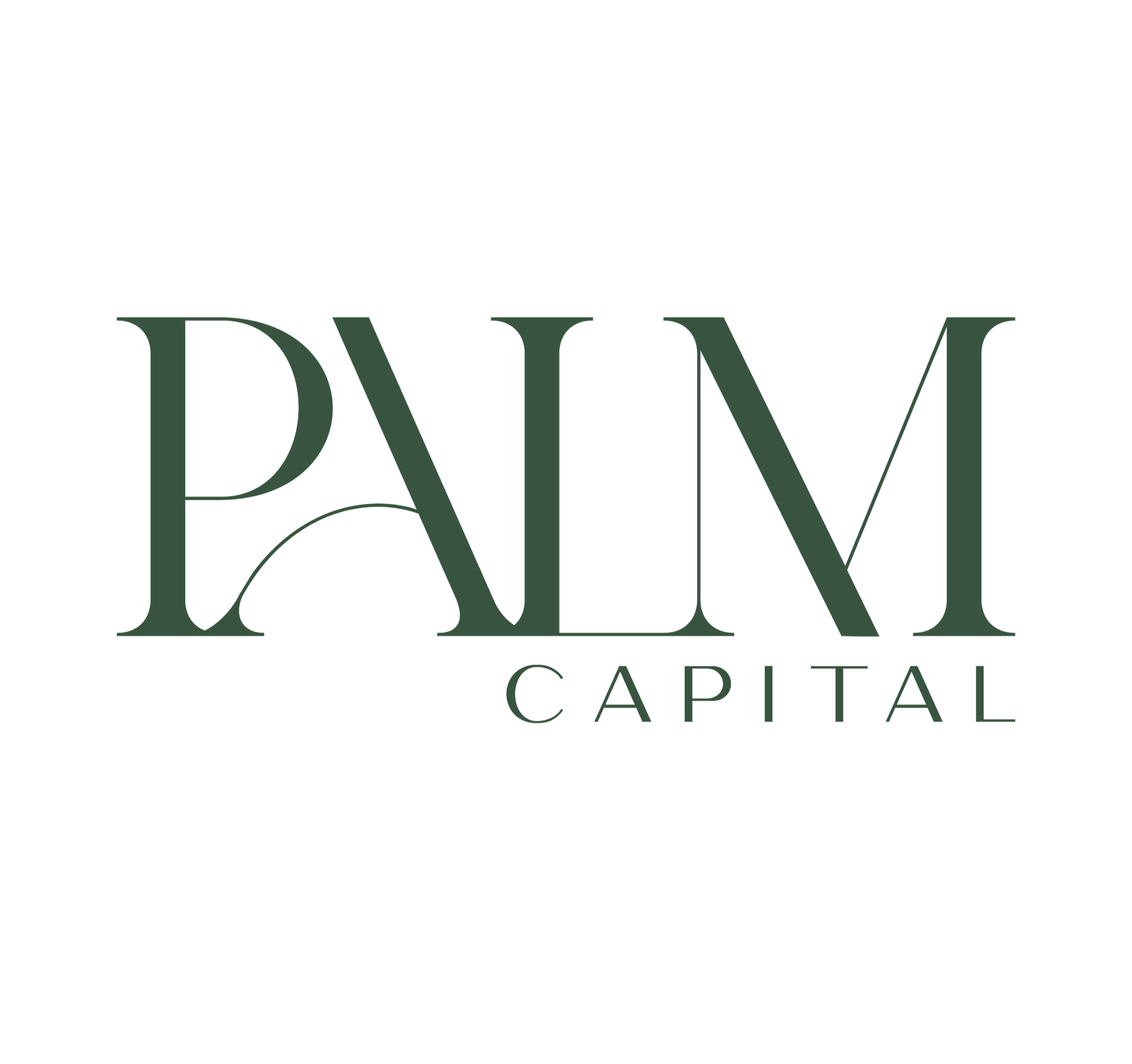 Palm Capital Project Launch