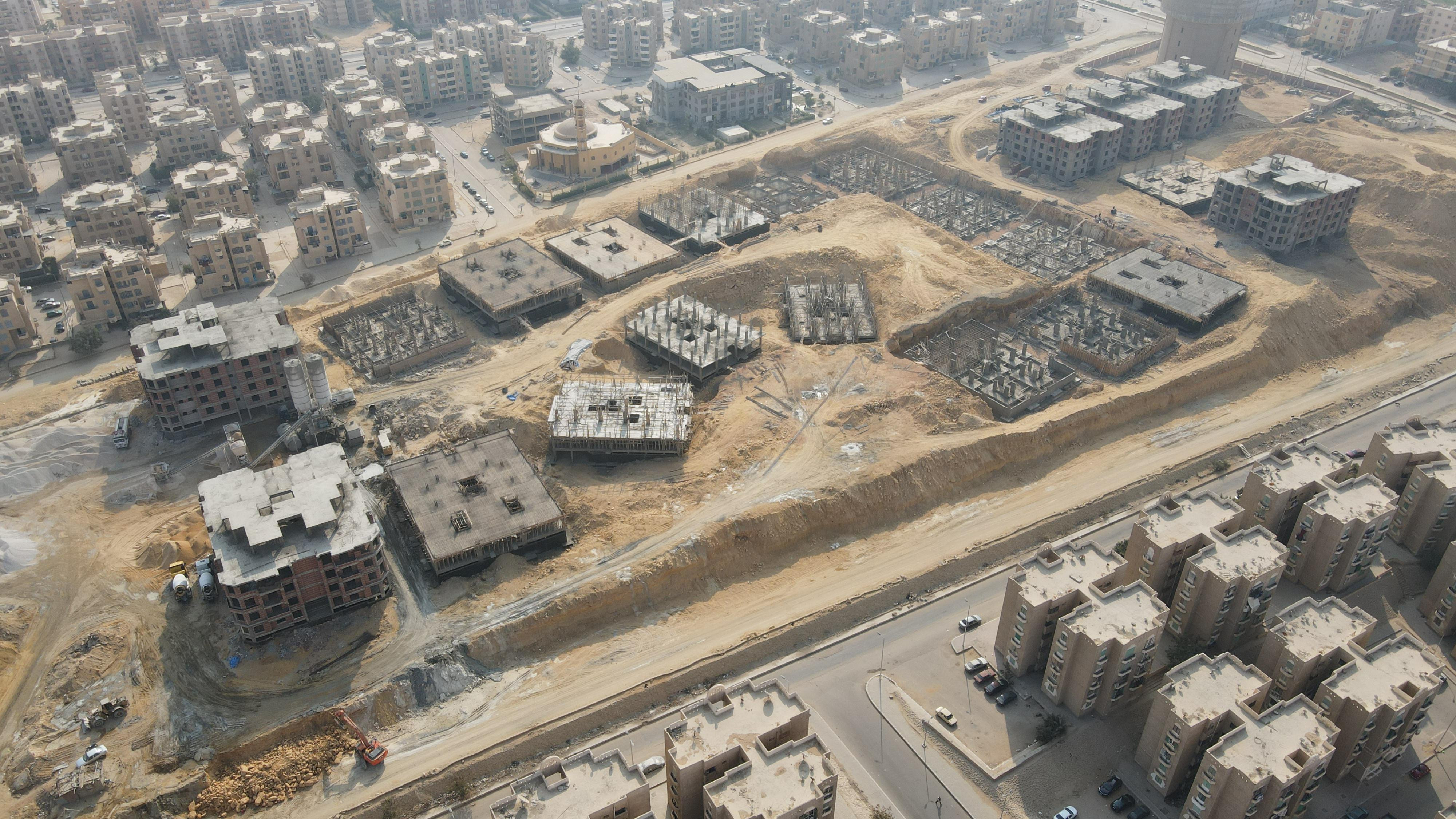 Palm Capital  January 2025