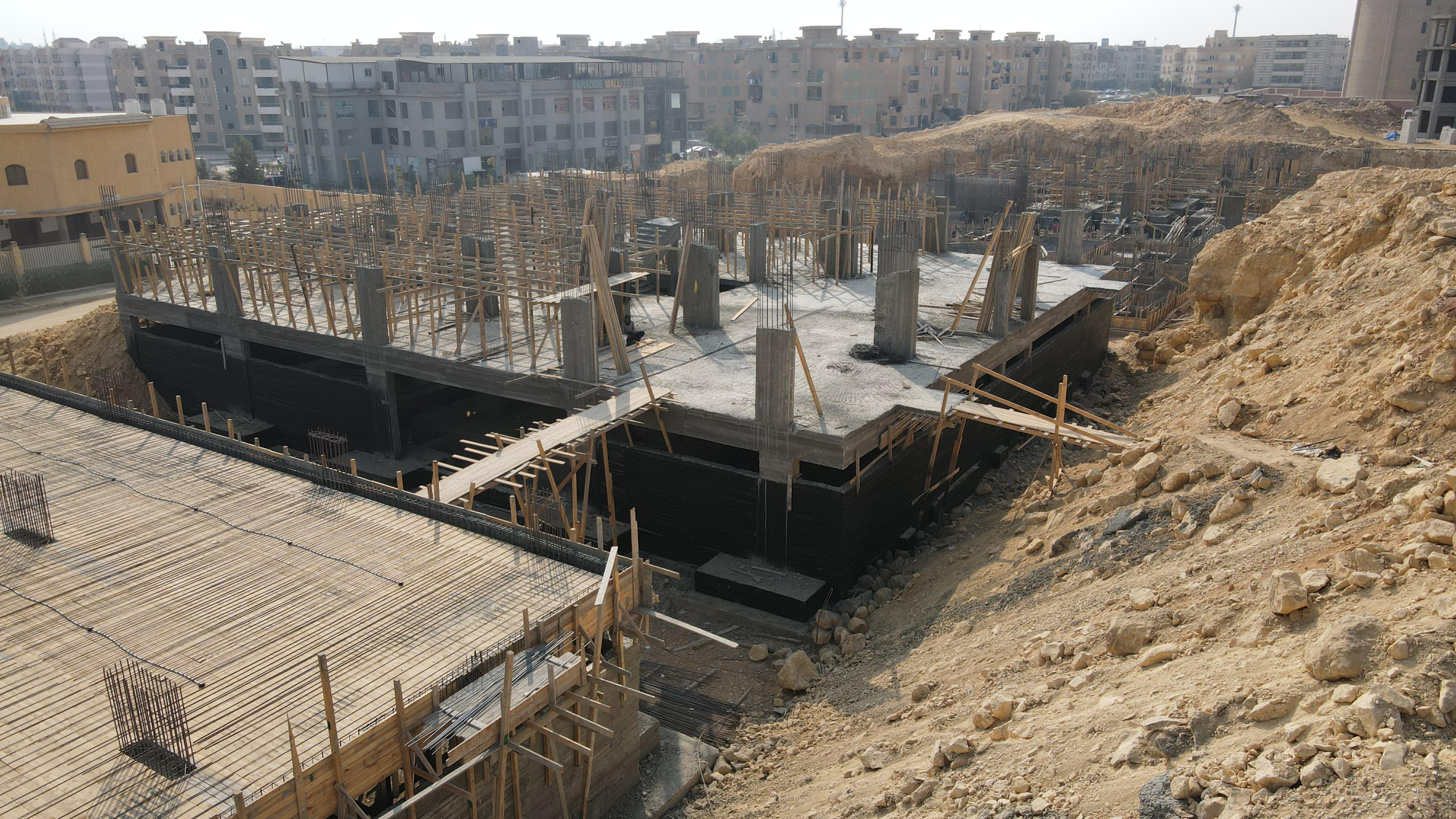 Palm Capital January 2025