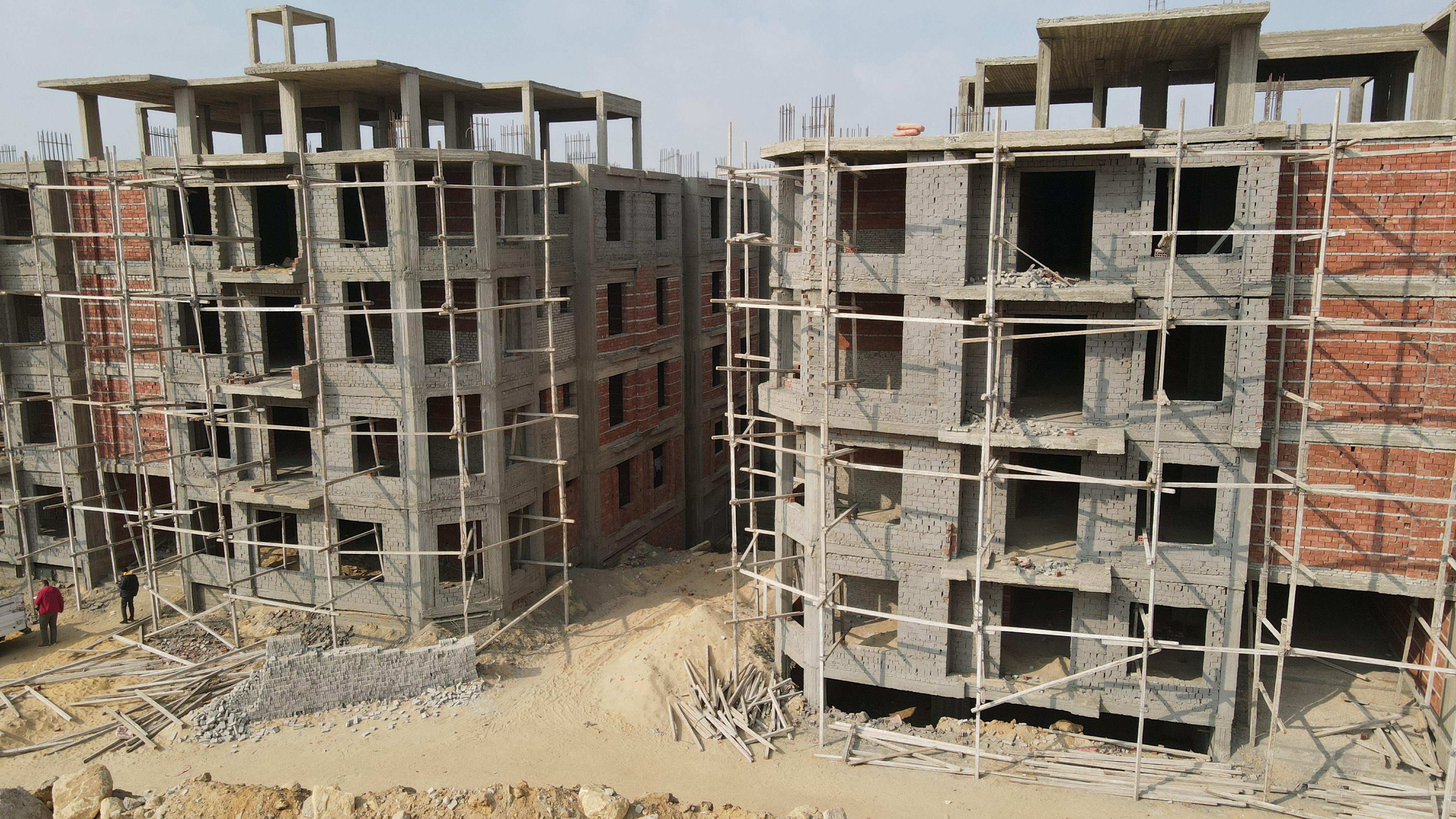 Palm Capital January 2025