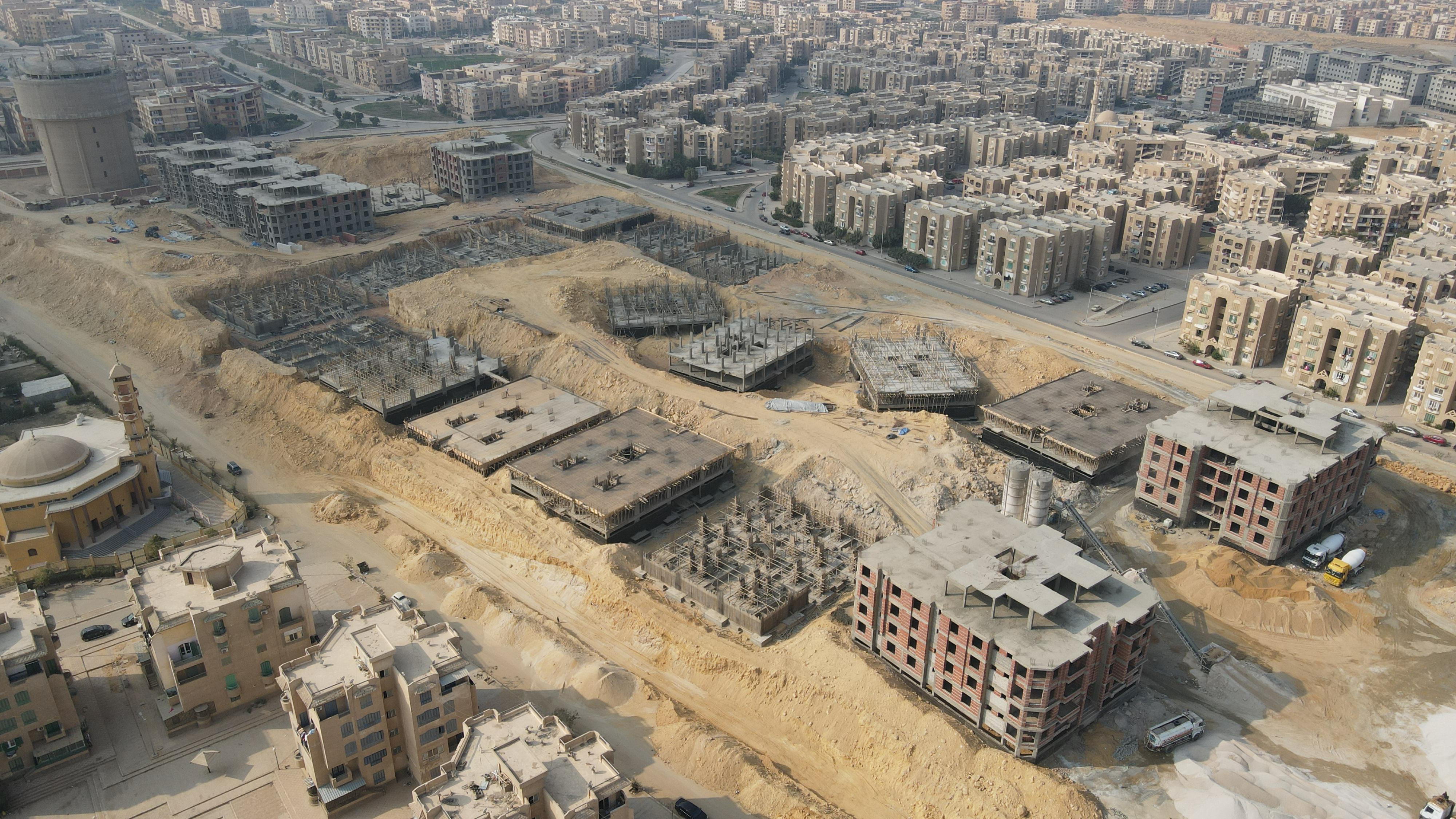 Palm Capital  January 2025
