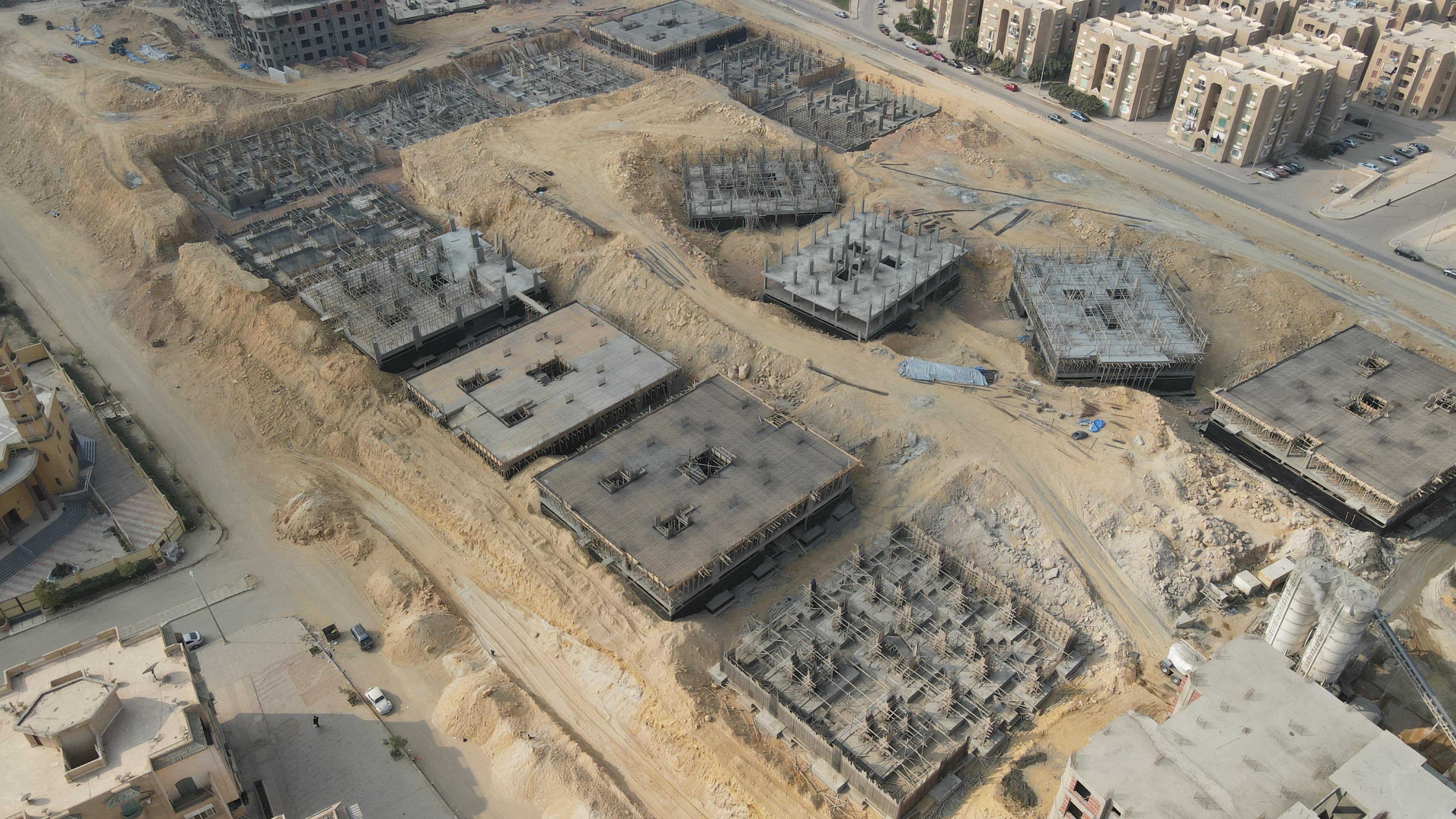 Palm Capital  January 2025