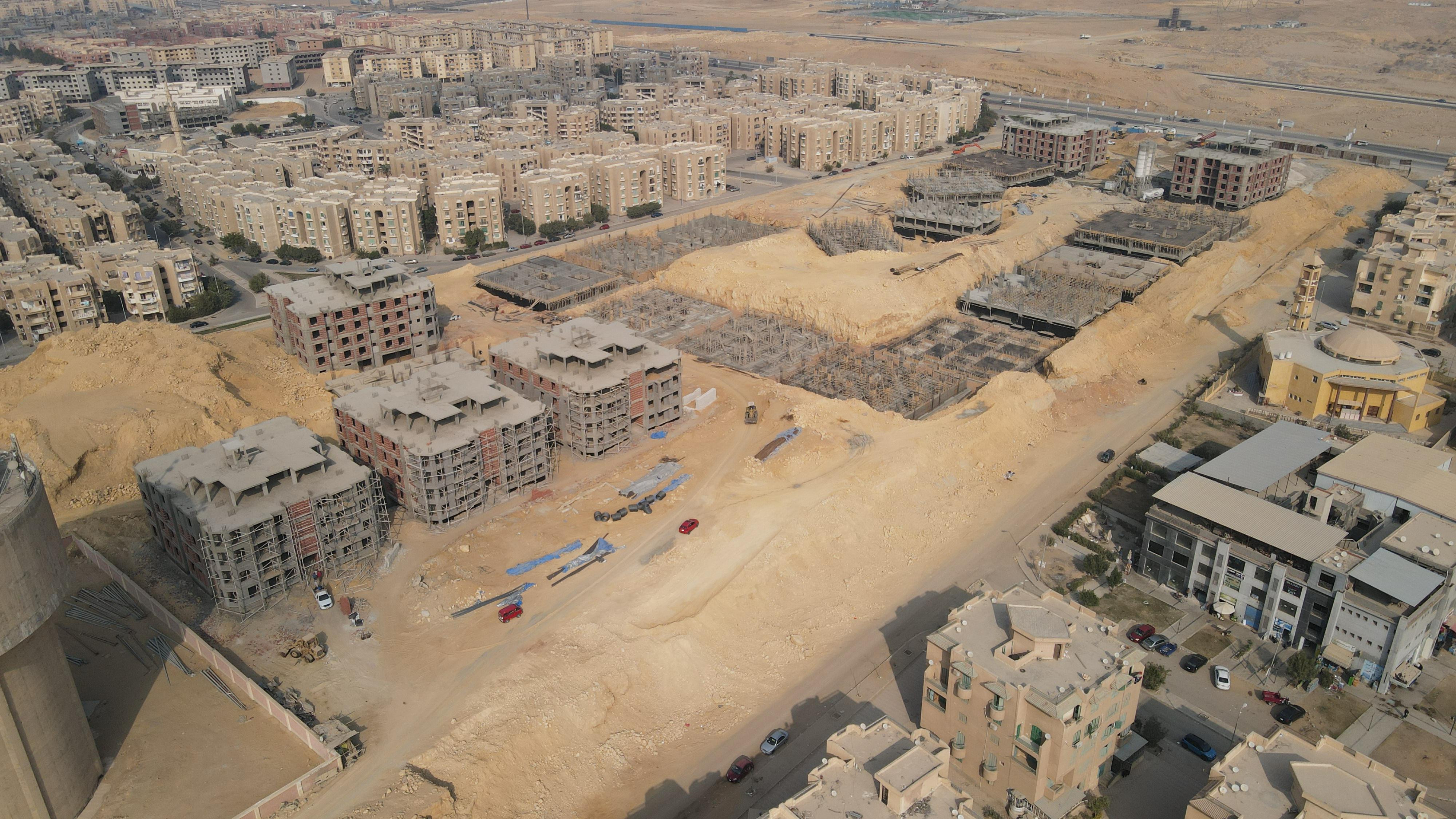 Palm Capital  January 2025