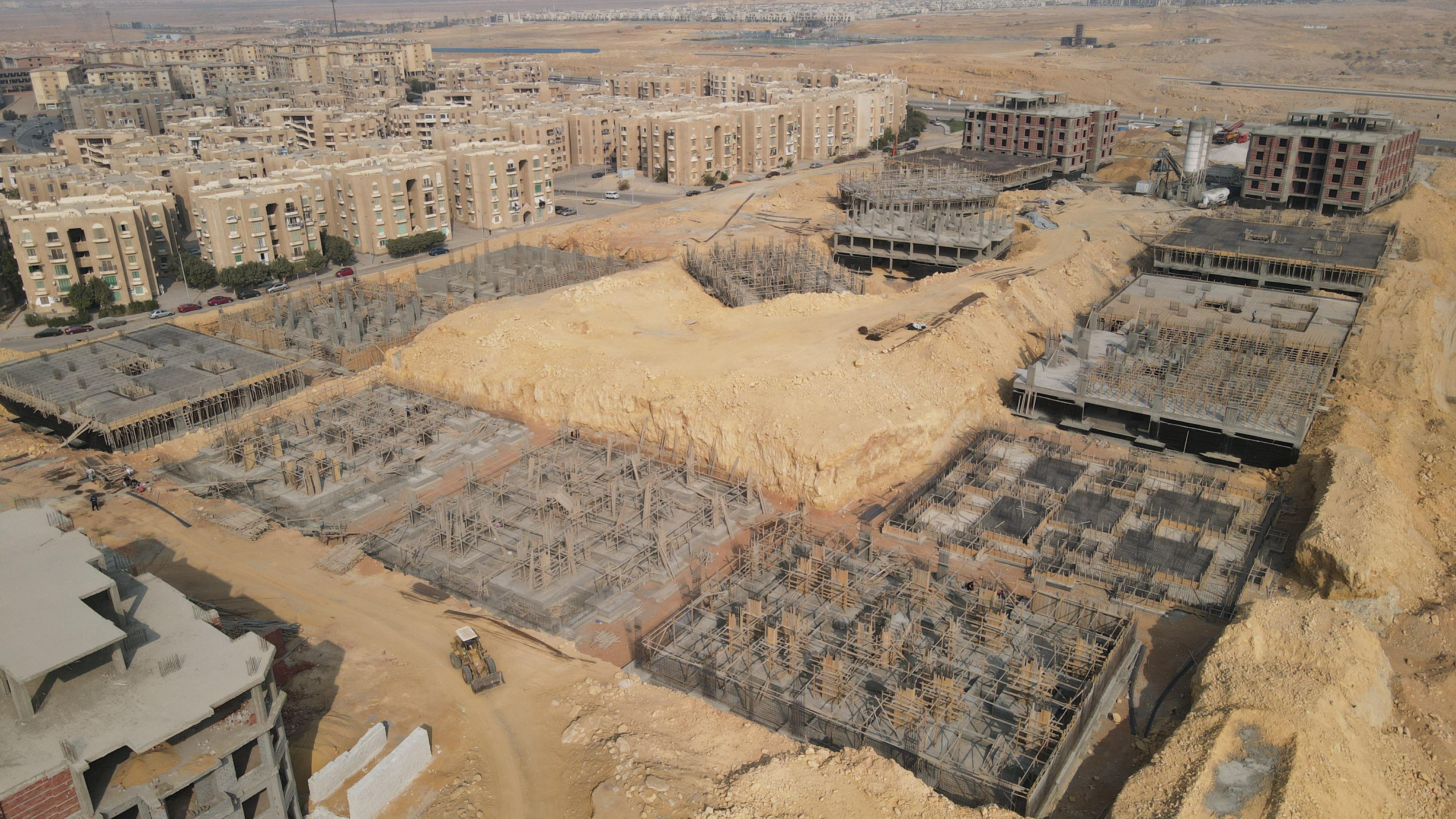 Palm Capital January 2025